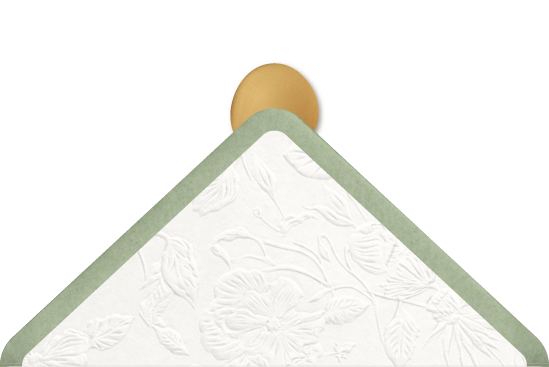 Flap atrás